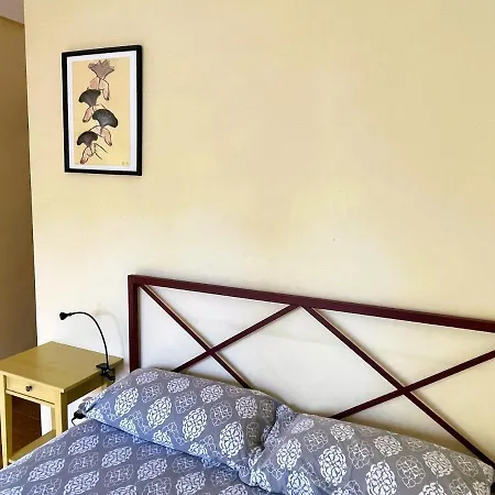 Antequera3 * Сарагоса